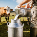 The sale of raw milk is legal in West Virginia. Drinking it comes with risks